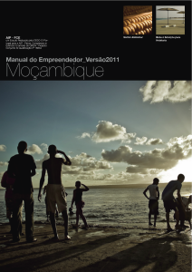 Manual do Empreendedor - Moçambique